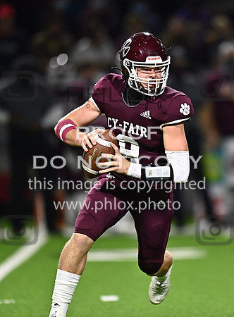 DLS_8029