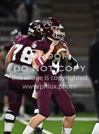 DLS_8037