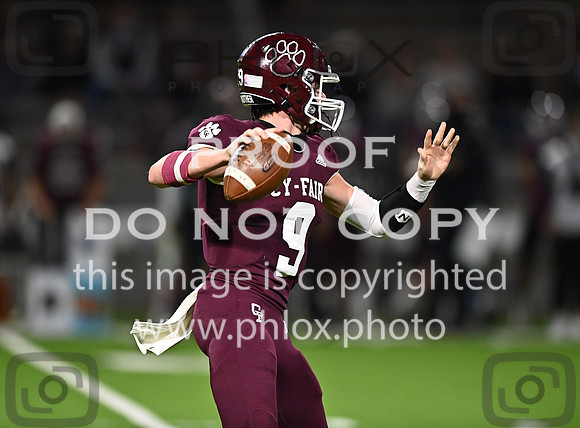DLS_8260