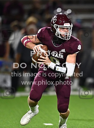 DLS_8027