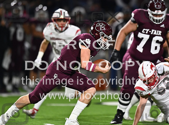 DLS_8040