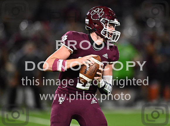 DLS_8258