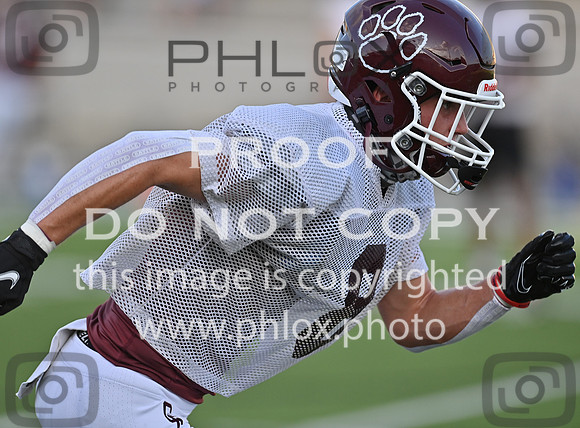 DLS_2817
