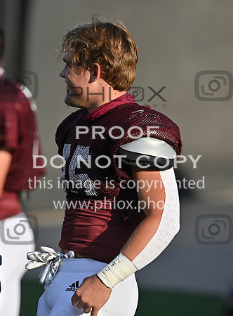 DLS_2772