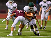 11 Robert Austin French Spotlight 2020 Week 3