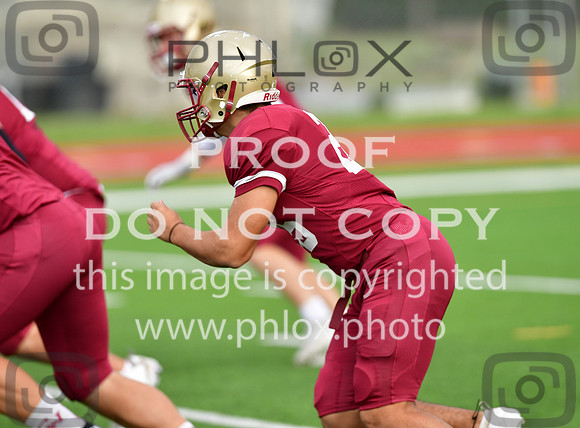 TOM_3419-2