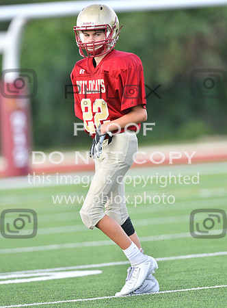 TOM_5564