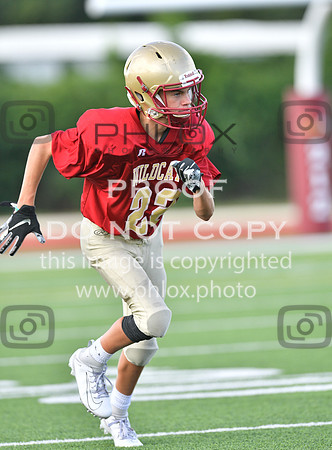 TOM_5567