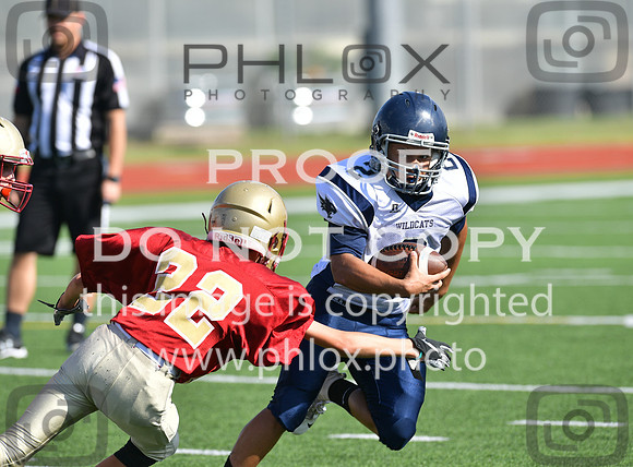 TOM_4664