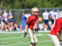 TOM_5088