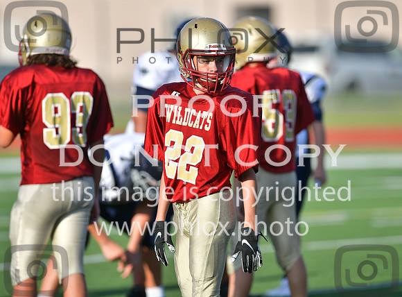 TOM_5982