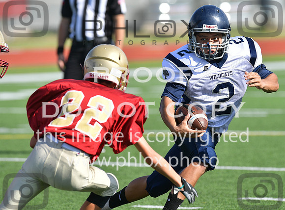 TOM_4663