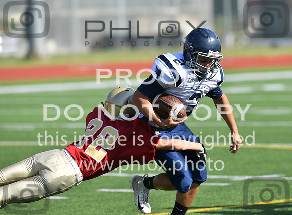 TOM_4666