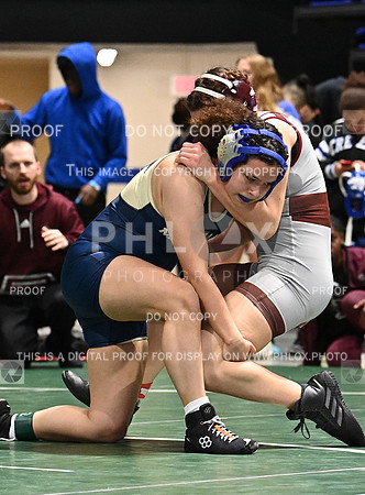 CLM_5655