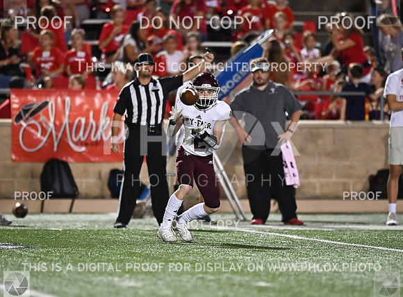 DLS_7483