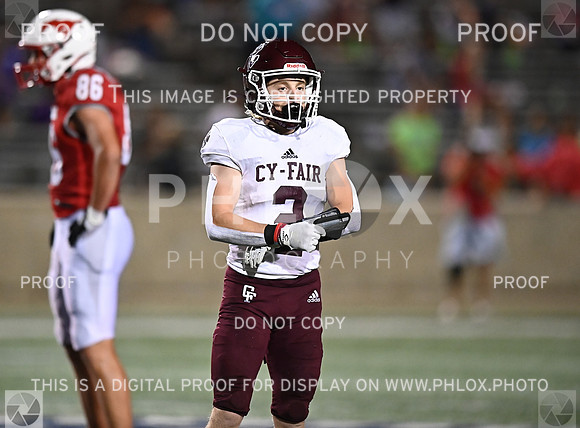 DLS_7531