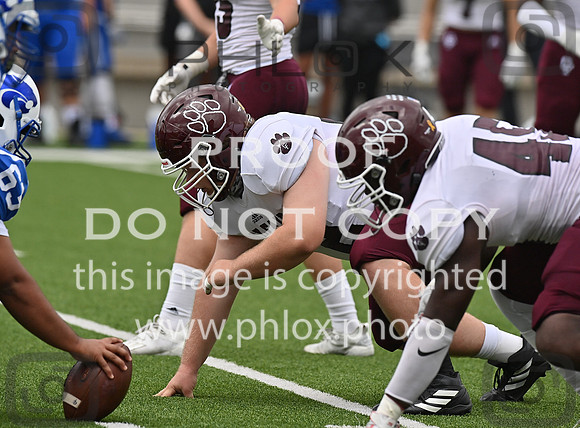 DLS_4605