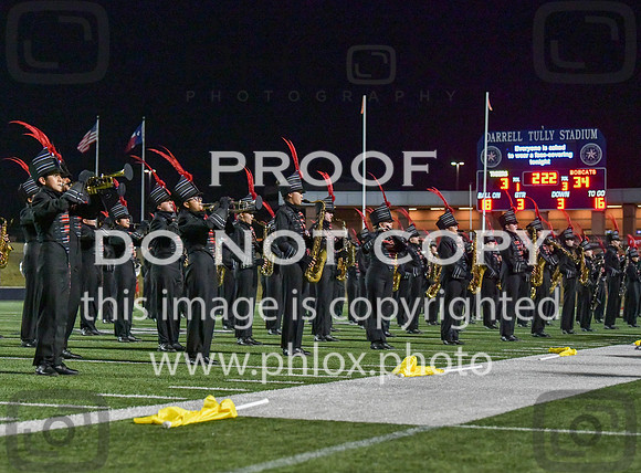 DLS_7897