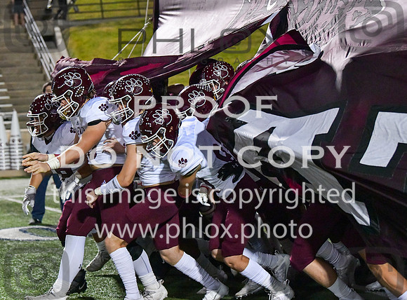 DLS_7929