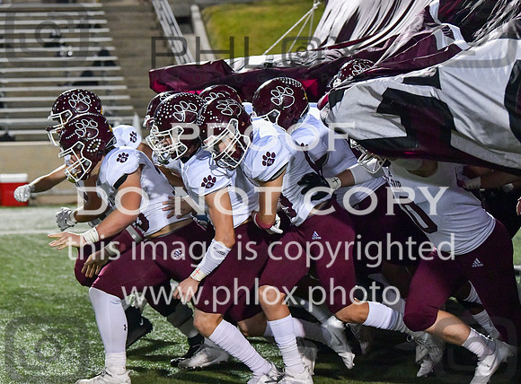 DLS_7930