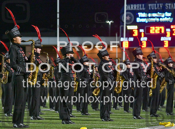 DLS_7896