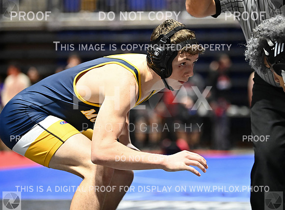 DLS_6315