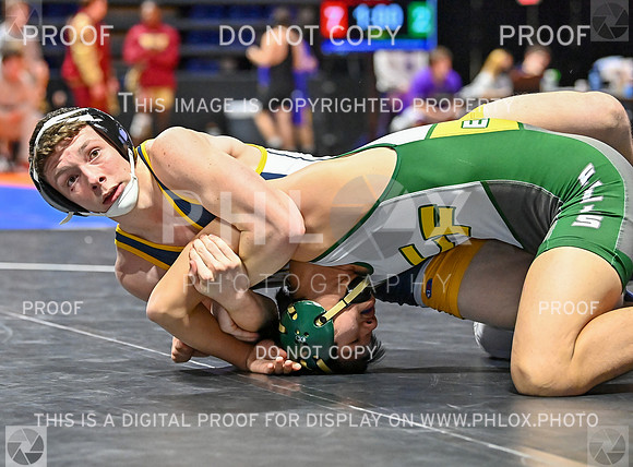 DLS_7058