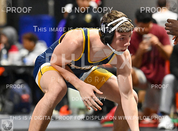 DLS_7955