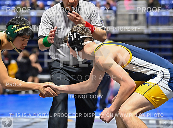 DLS_7025