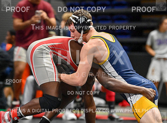 DLS_7965