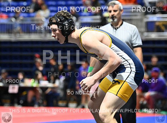 DLS_6328