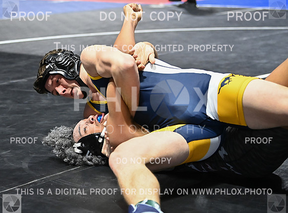DLS_6335