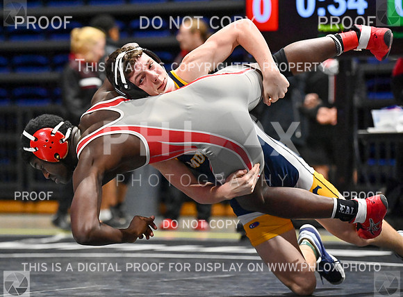 DLS_7972