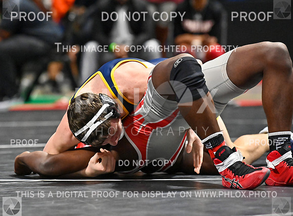 DLS_7982