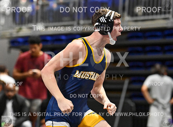 DLS_7986