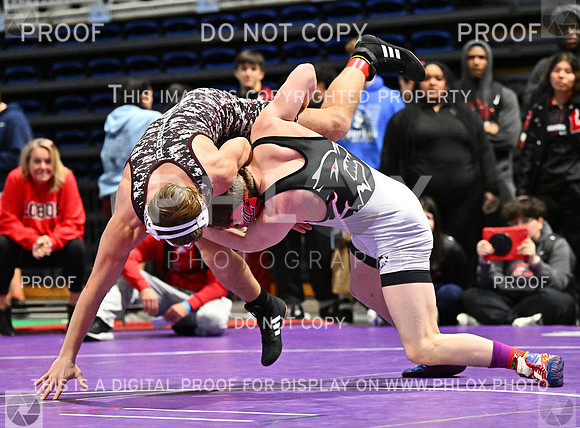 DLS_7076-2