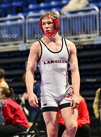 DLS_7068-2