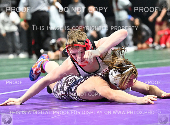 DLS_7039-2