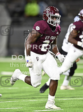 DLS_3019