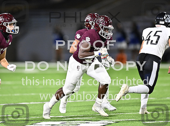 DLS_3018