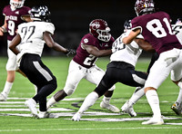 DLS_3234