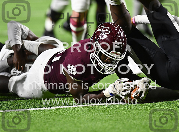 DLS_3295
