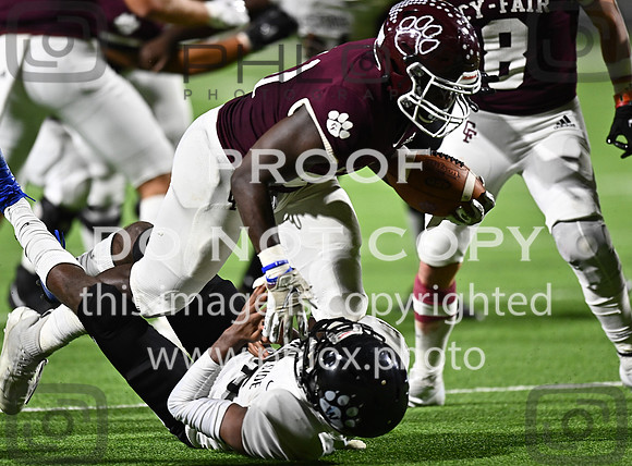 DLS_3291