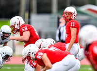 11 Mason Cotton Katy 11-4