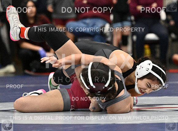 DLS_3480