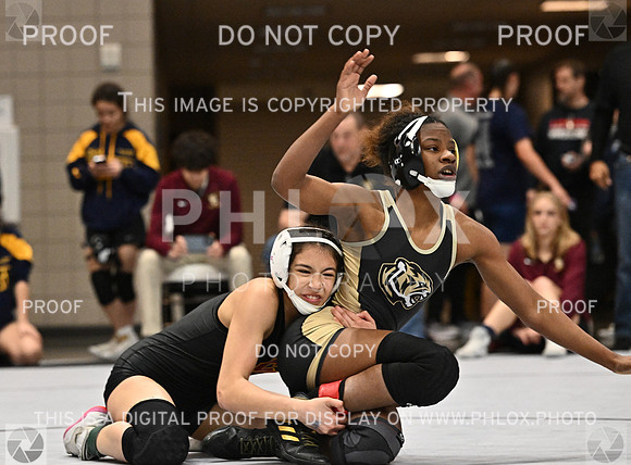 DLS_4771