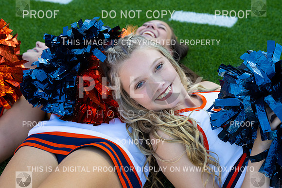 TOM_2146