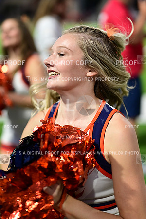 TOM_3242