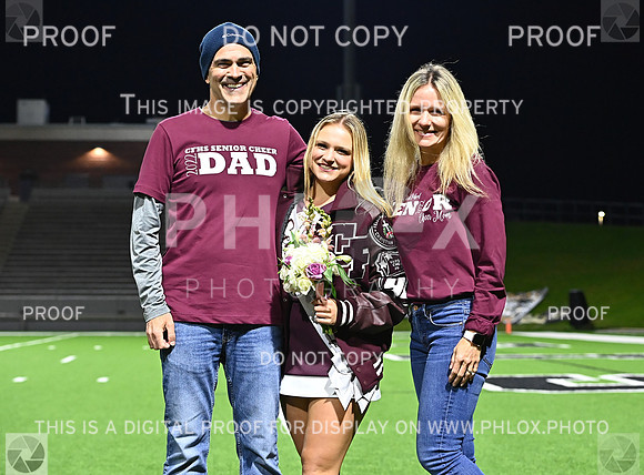 DLS_7225