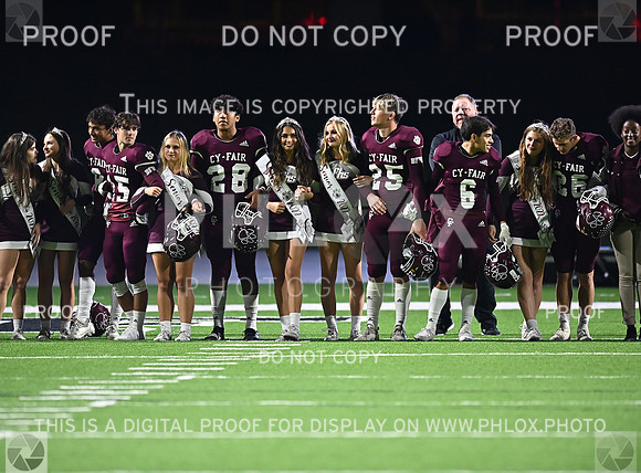 DLS_8178